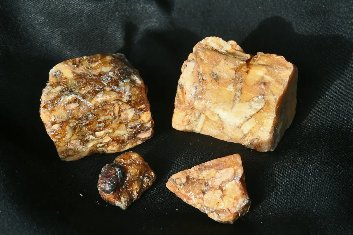 Trozos de resina de benjuí