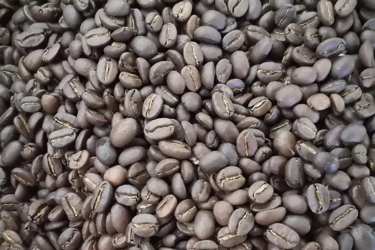 Granos de café tostado