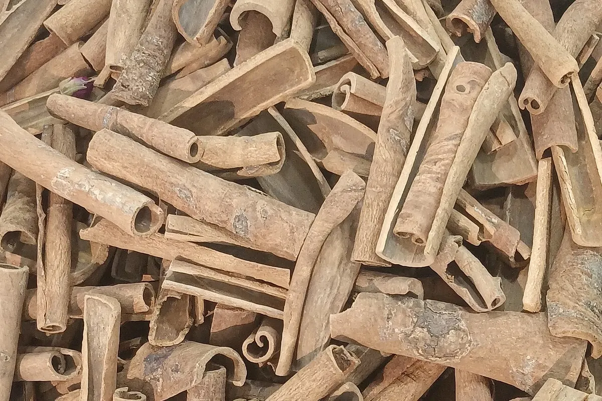 Ramas de canela