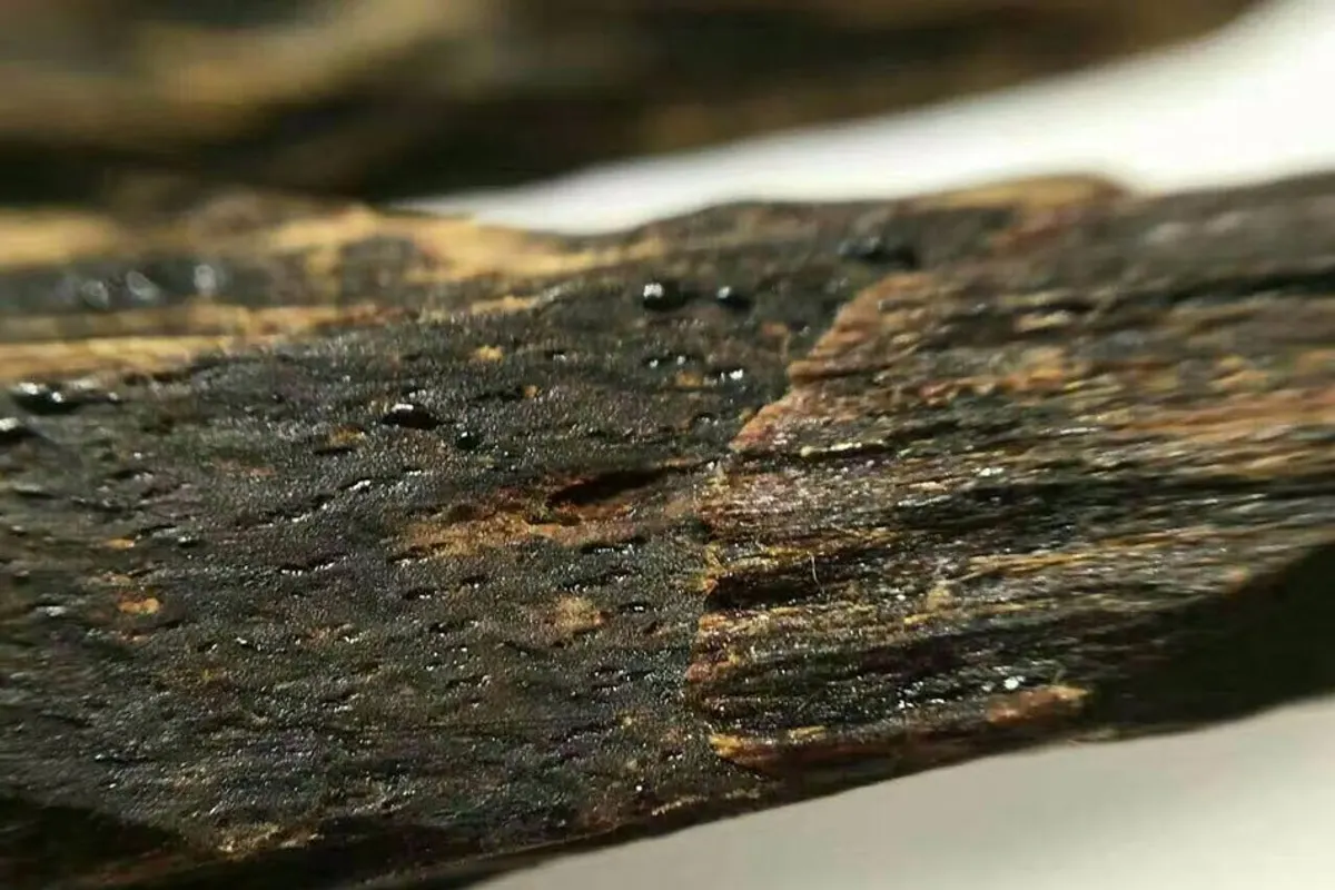 Madera de oud resinosa de alta calidad